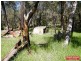 1792 Wanneroo Road, Neerabup WA 6031