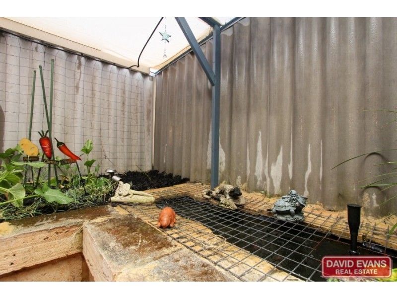 53 Fenchurch Street, Alexander Heights WA 6064