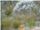 Lot 9000 Leach Road, Gnangara WA 6065