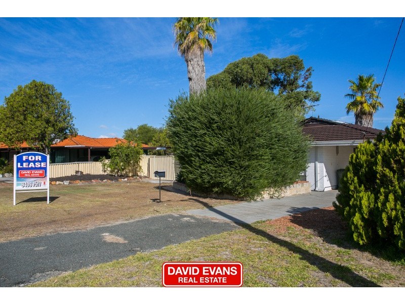 16 Seabird Place, Craigie WA 6025