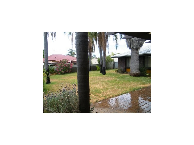 55 Dallas Crescent, Wanneroo WA 6065