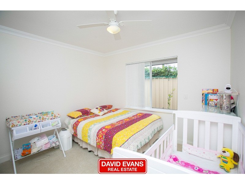 8 Cradle Close, Alexander Heights WA 6064