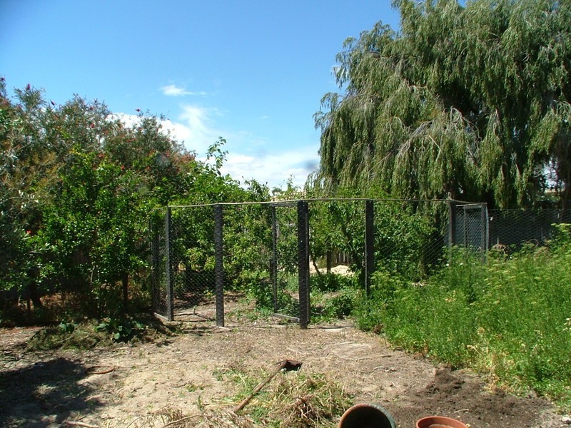 5 Carson Pl, Heathridge WA 6027