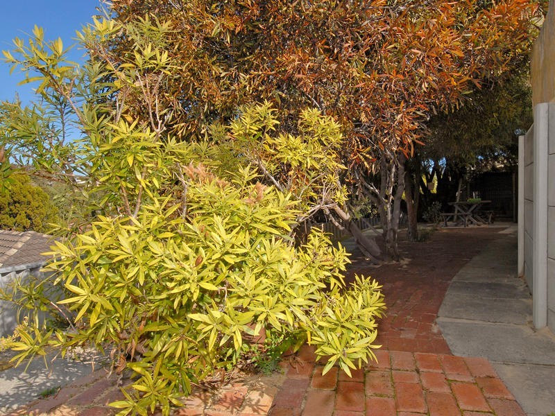 12 Tamma Court, Heathridge WA 6027