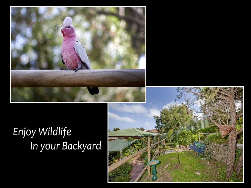 39  Peninsula Ave, Heathridge WA 6027