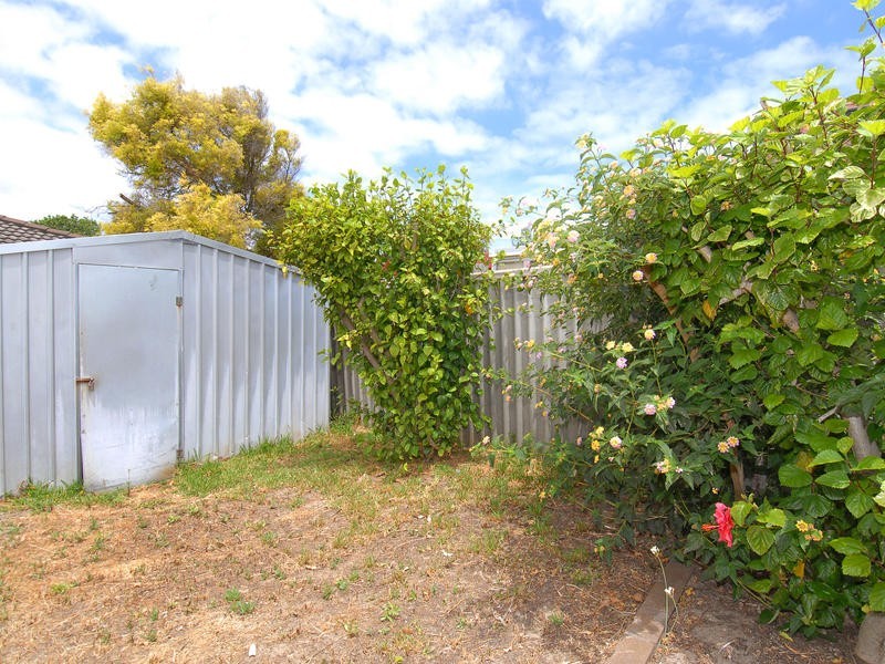 6 McWhae Rd, Hillarys WA 6025