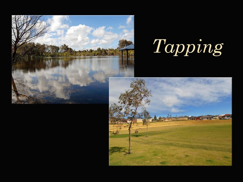 19 Triller Bend, Tapping WA 6065