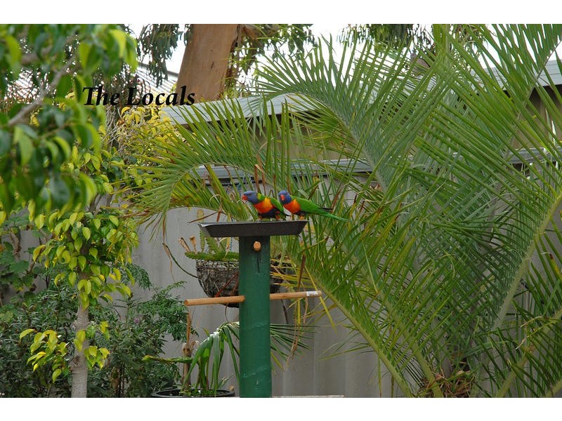 2 Altair Way, Beldon WA 6027