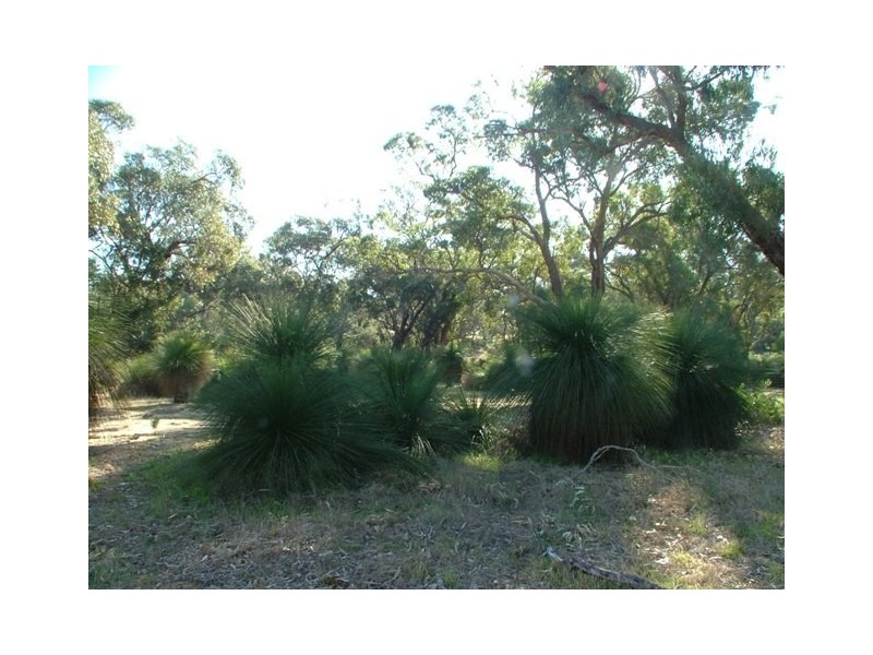 19 Timber Grove, Two Rocks WA 6037