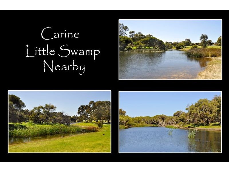 10 Wessex St, Carine WA 6020