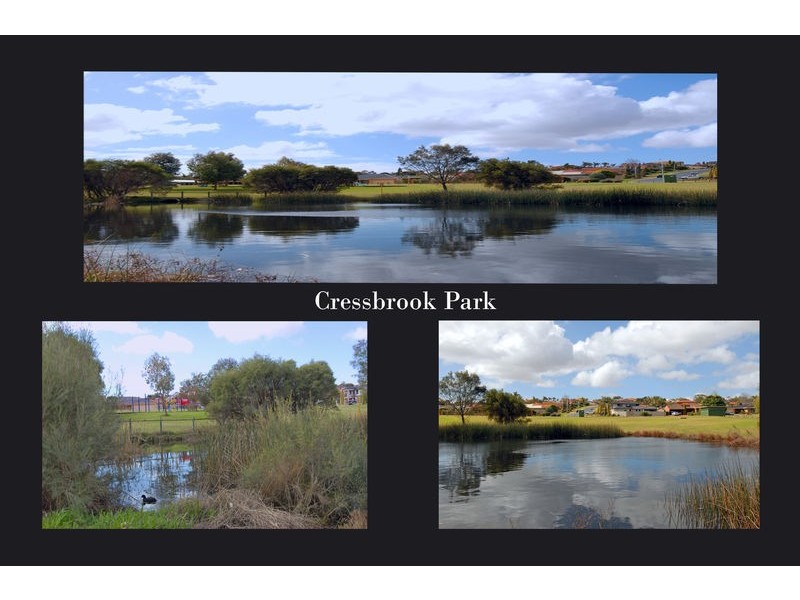 11 Elmton Way, Carine WA 6020