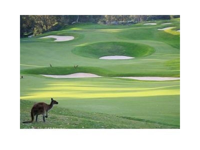 4 Volunteer Pl, Ocean Reef WA 6027