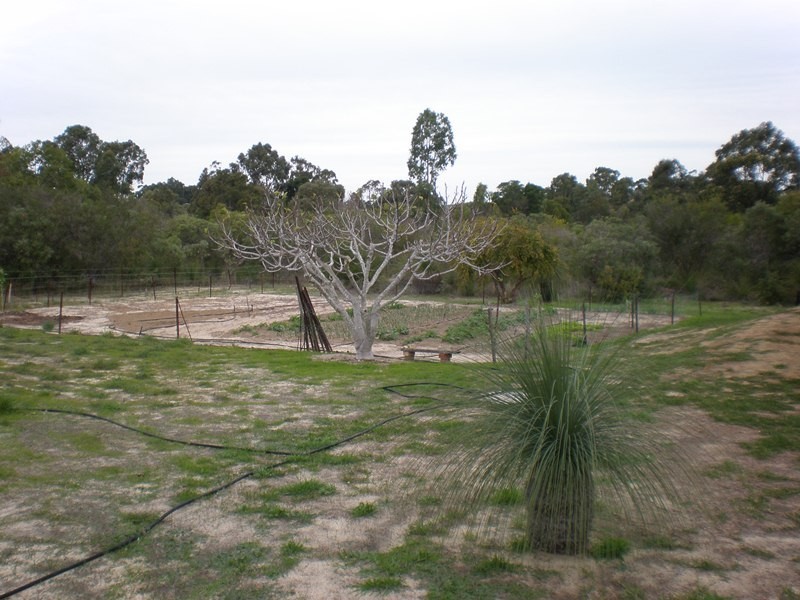 14 Wayeela Place, Woodridge WA 6041