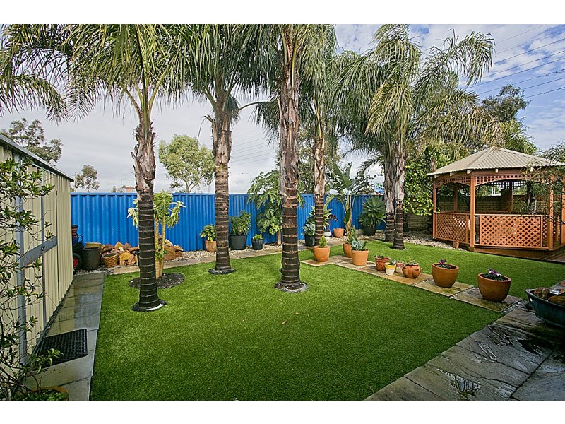 19 Coolamine close, Carramar WA 6031
