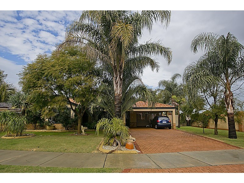 19 Coolamine close, Carramar WA 6031