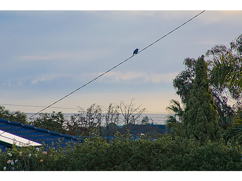 12 Chamberlain Place, Heathridge WA 6027