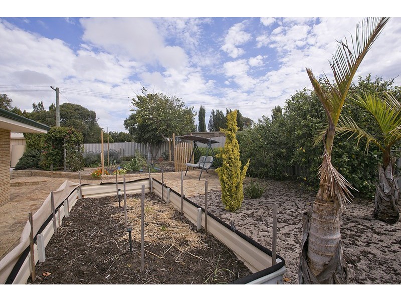 11 Livingstone Way, Padbury WA 6025