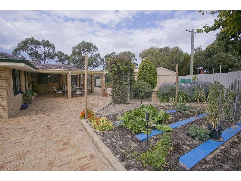 11 Livingstone Way, Padbury WA 6025