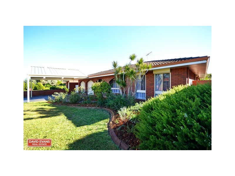 37 Avocet Road, Stirling WA 6021