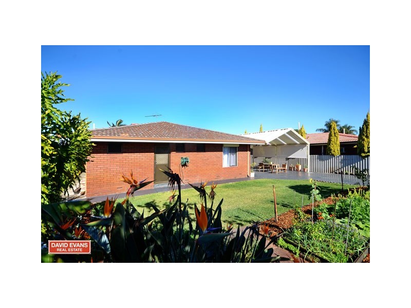 37 Avocet Road, Stirling WA 6021