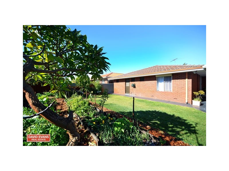 37 Avocet Road, Stirling WA 6021