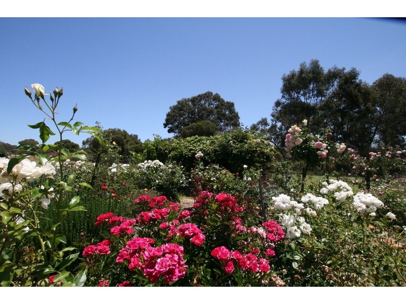 57 Honey Street, Claydon Park, Mariginiup WA 6065