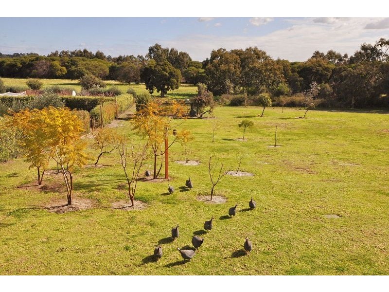 57 Honey Street, Claydon Park, Mariginiup WA 6065