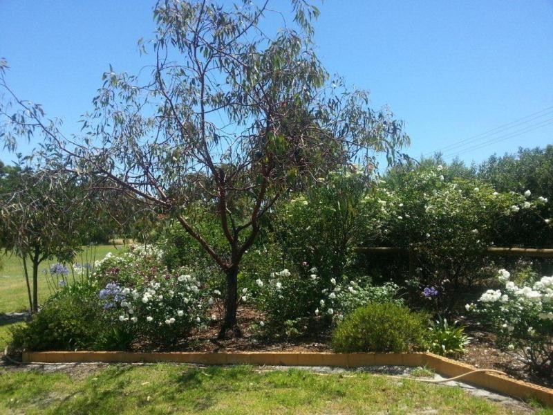 57 Honey Street, Claydon Park, Mariginiup WA 6065