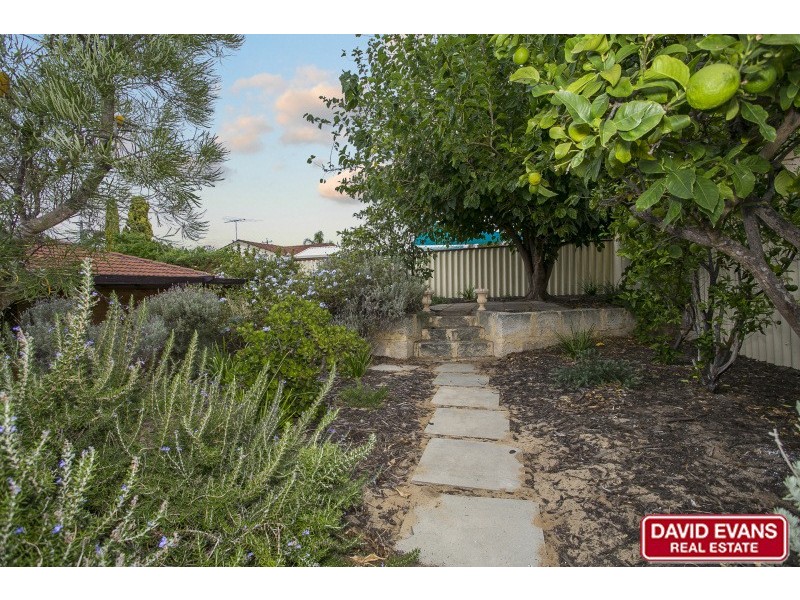 19 Aerolite Way, Beldon WA 6027