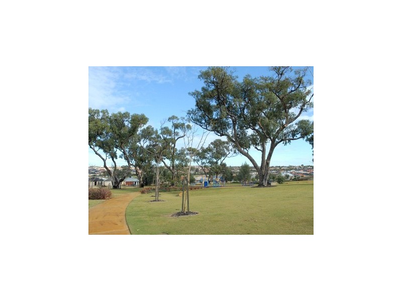 81 CELEBRATION BLVD, Clarkson WA 6030