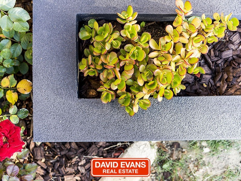 6 Leyland Road, Butler WA 6036