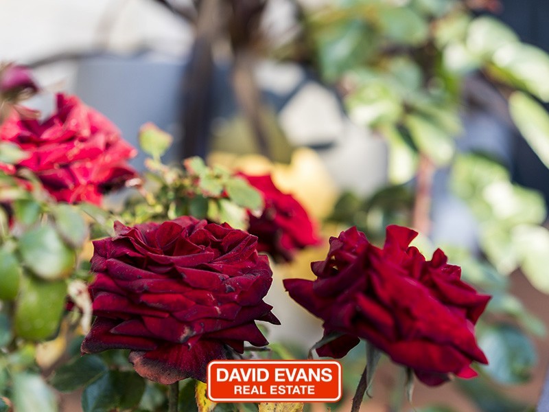 6 Leyland Road, Butler WA 6036