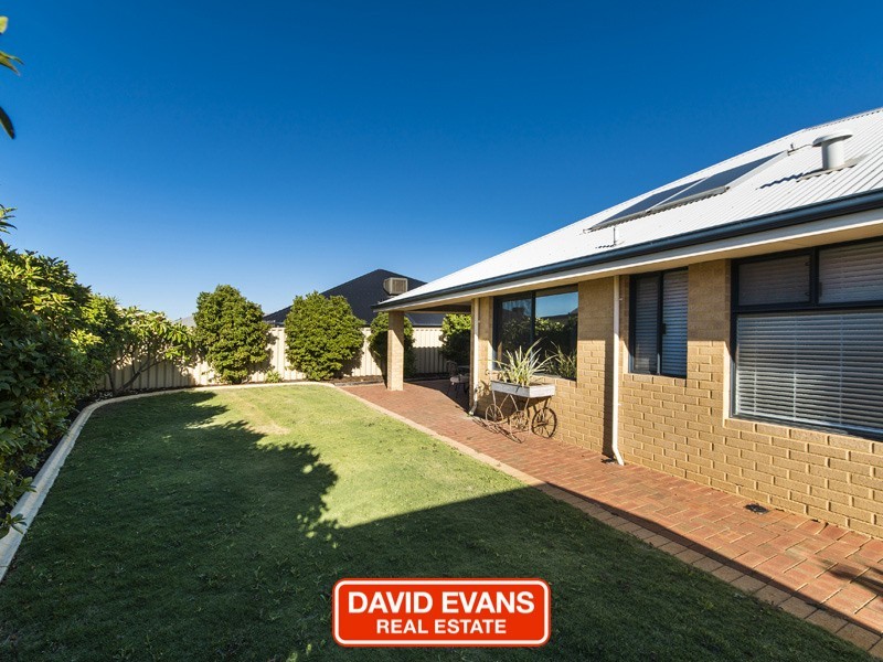 113 Homebush Drive, Butler WA 6036