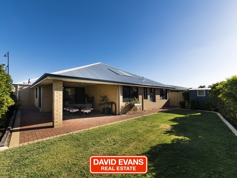 113 Homebush Drive, Butler WA 6036