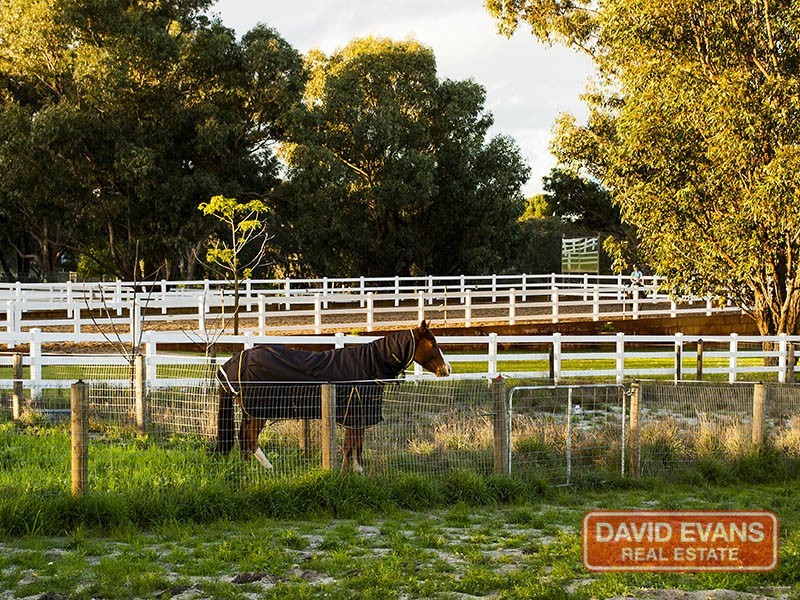 21 Lee-Steere Drive, Mariginiup WA 6078