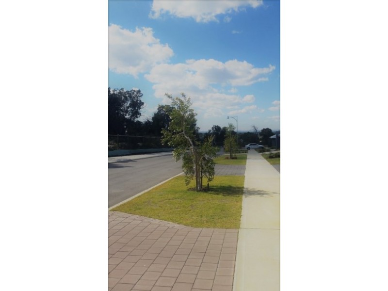 53 Boomerang Loop, Banksia Grove WA 6031