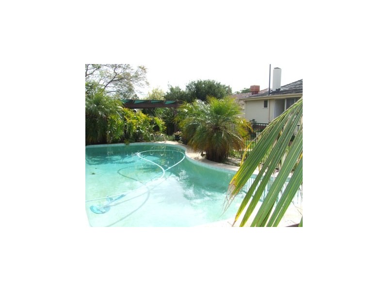 86 Michael Street, Yokine WA 6060