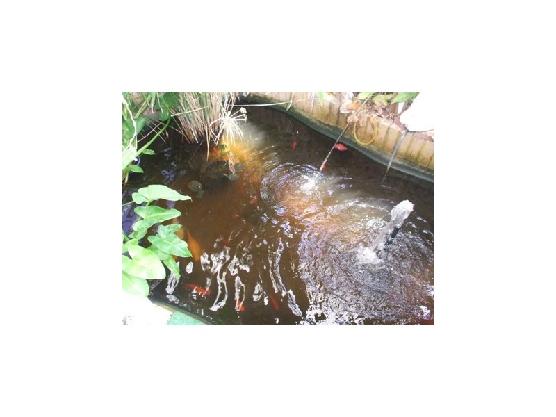 10 Aldercress Rise, Connolly WA 6027