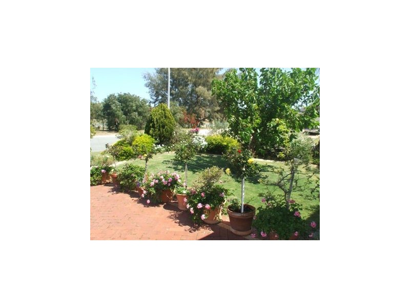 10 Aldercress Rise, Connolly WA 6027