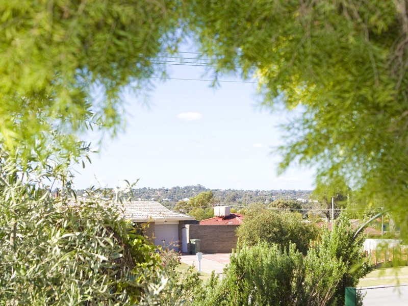1 Trafford Court, Craigie WA 6025