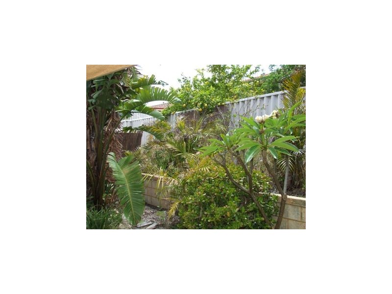 34 Fisherton Circuit, Kinross WA 6028