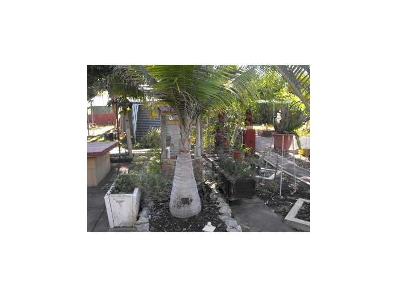 57 Tamarisk Drive, Gabbadah WA 6041