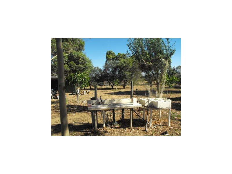 57 Tamarisk Drive, Gabbadah WA 6041