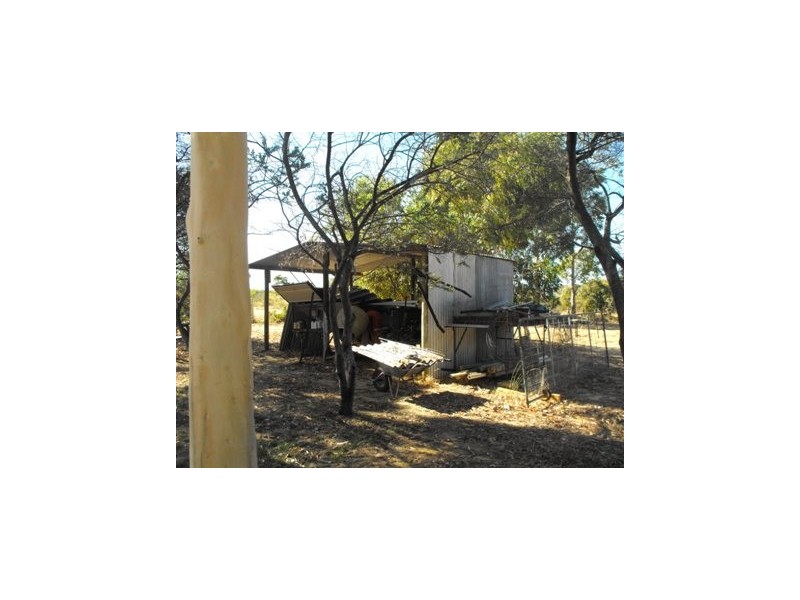 57 Tamarisk Drive, Gabbadah WA 6041