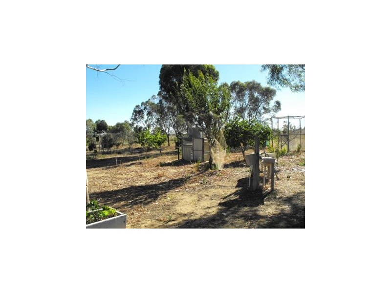 57 Tamarisk Drive, Gabbadah WA 6041