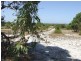 148 Seaflower Way, Gabbadah WA 6041