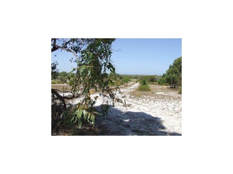 148 Seaflower Way, Gabbadah WA 6041