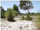 148 Seaflower Way, Gabbadah WA 6041