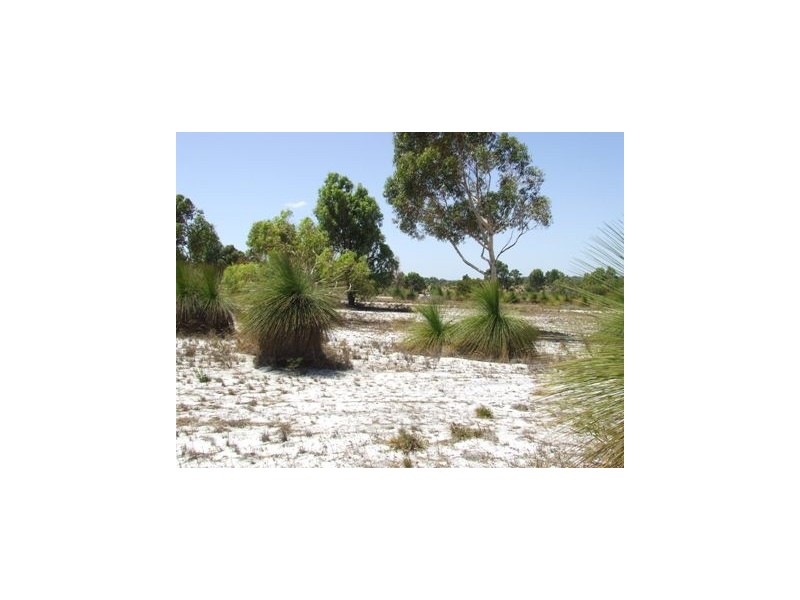 148 Seaflower Way, Gabbadah WA 6041