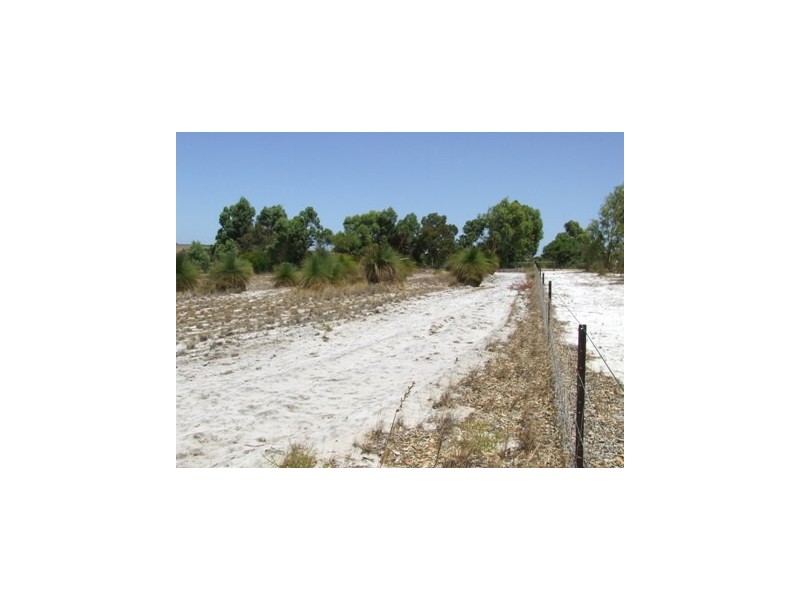 148 Seaflower Way, Gabbadah WA 6041
